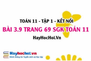 Giải bài 3.9 trang 69 Toán 11 tập 1 SGK Kết nối tri thức